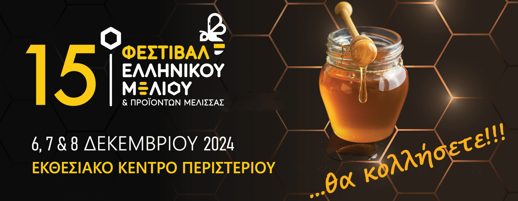 fest banner 1