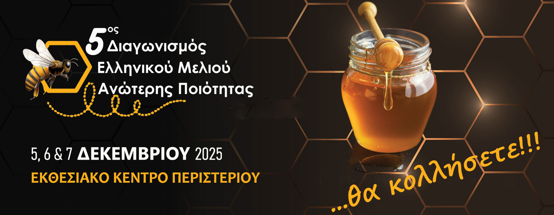 fest banner 3